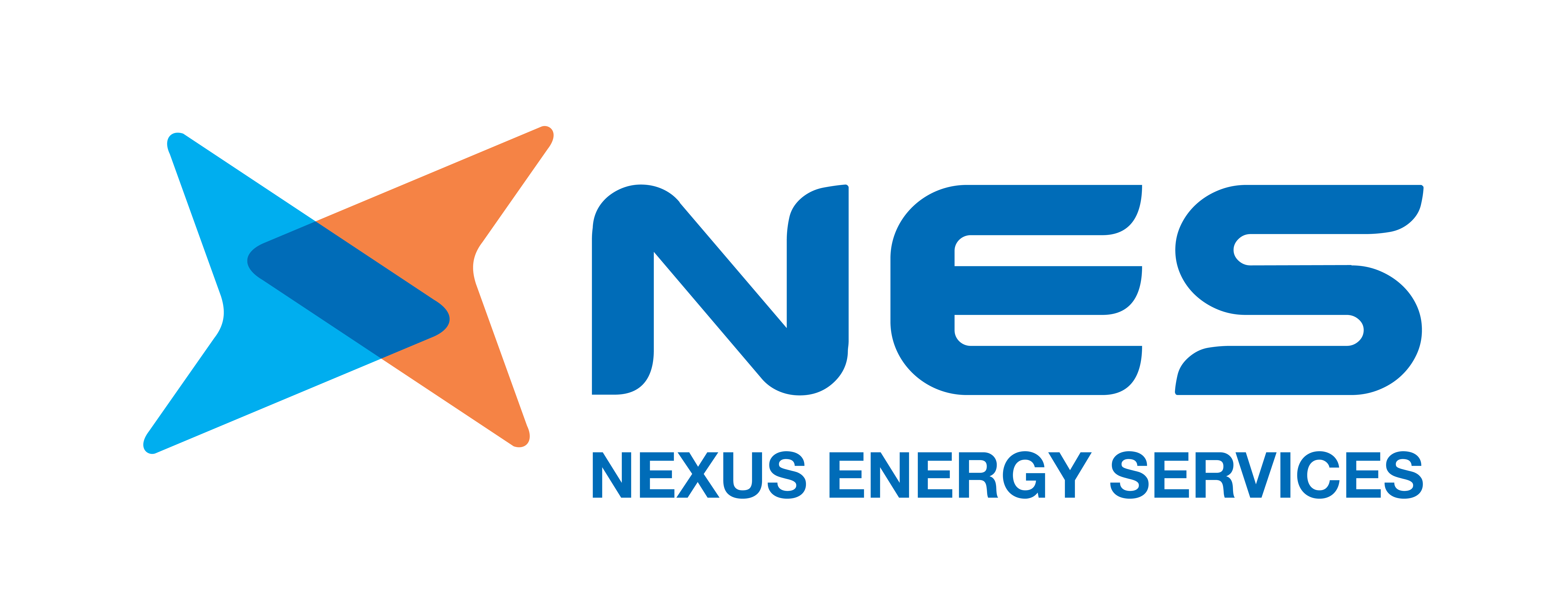 NES logo
